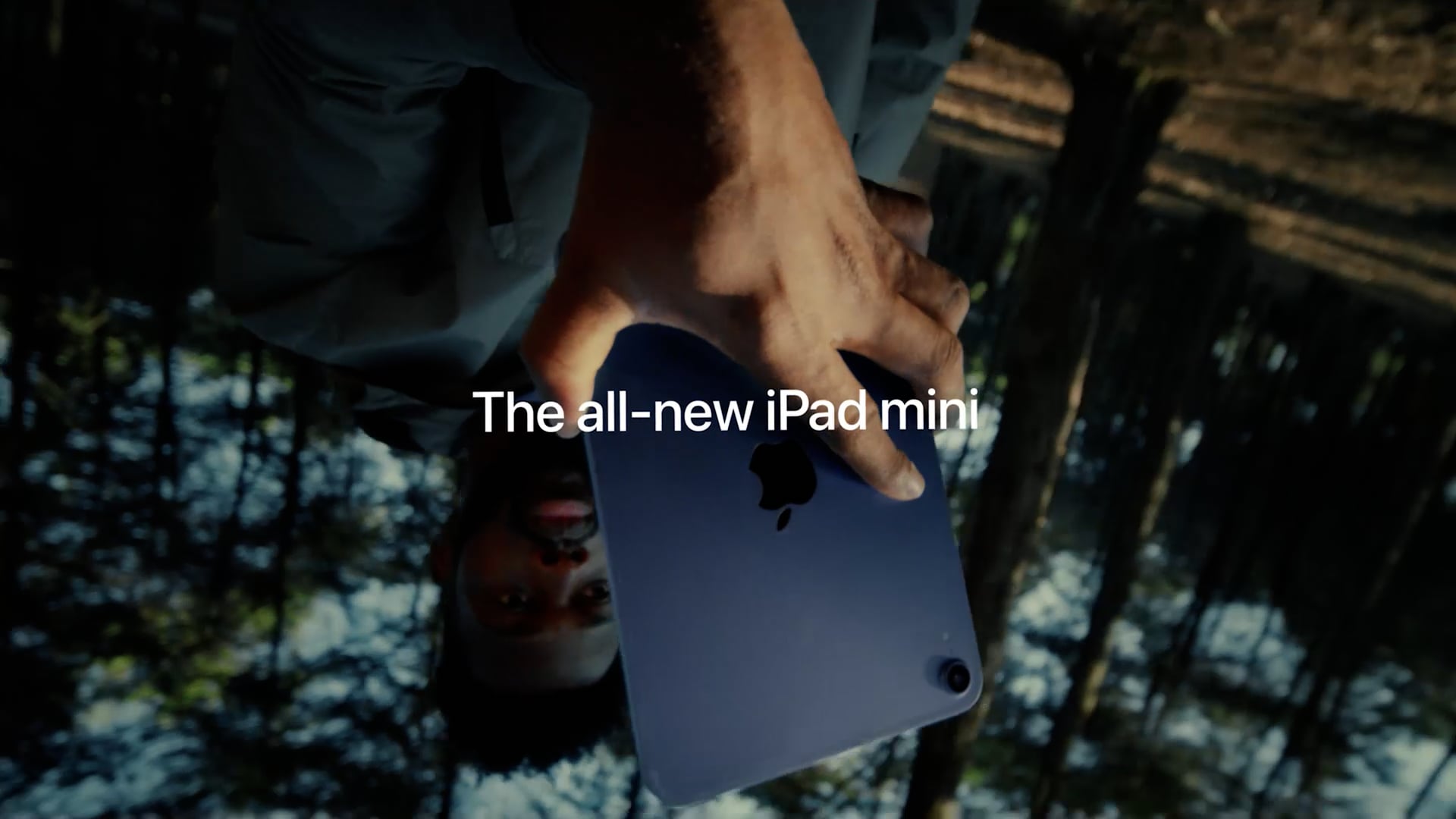 iPad Mini*