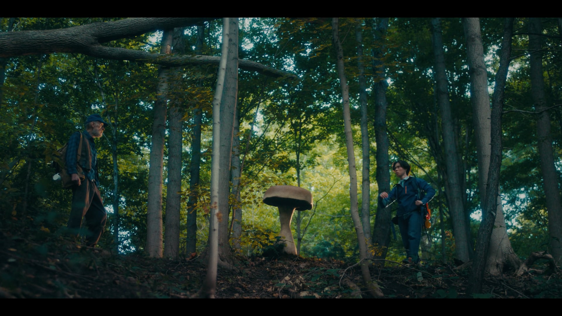 Mushroom Trailer