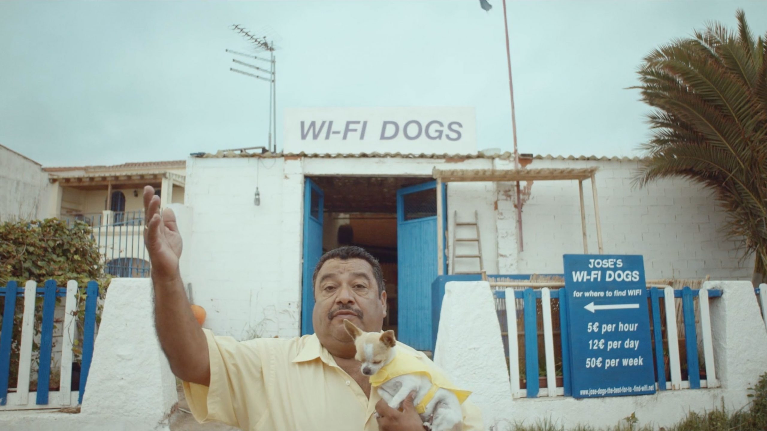 Jose’s Wifi Dogs